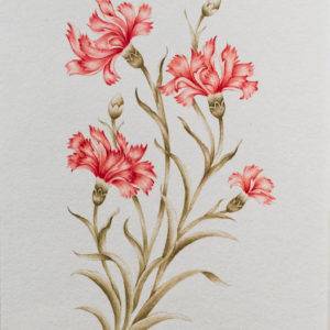 Flower and Birds: Carnation & Iris I by Maryam Mirzaei